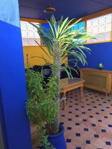 Authentic Moroccan Charm Apartment In Marrakech Terrace Marrákes Kültér fotó